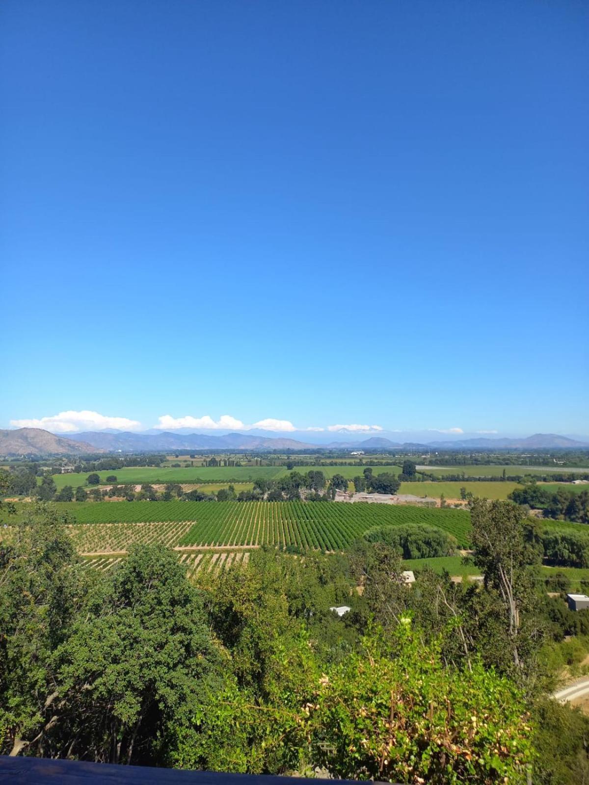 Hotel Colchagua D'Vino Santa Cruz Zewnętrze zdjęcie