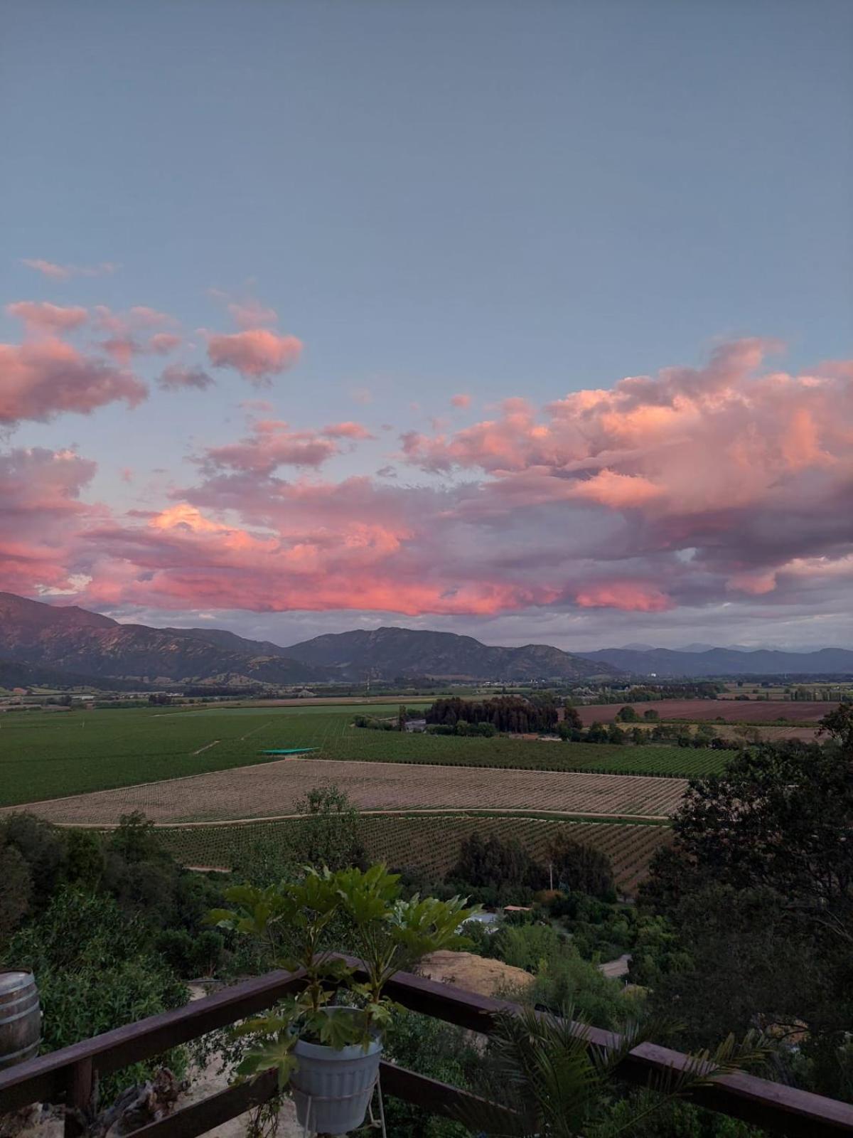 Hotel Colchagua D'Vino Santa Cruz Zewnętrze zdjęcie